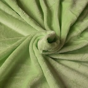 Mikroplüss lepedő zöld, 180 x 200 cm, 180 x 200 cm