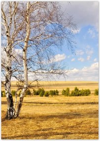 Poszterek A4 Pion Nyírfa a mezőn Tájkép