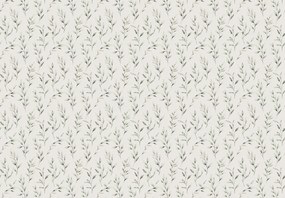 Fotótapéta - Finom levelek (147x102 cm)