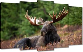 Vászonkép 100x60 Szarvas a csarnokban