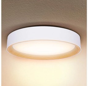 Brilagi -LED Dimmelhető lámpa LARIOS LED/60W/230V 3000-6500K ø 49 cm fehér + távirányító