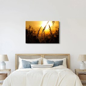A lenyugvó nap képe (90x60 cm)