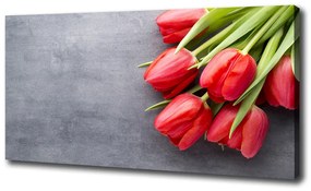 Egyedi vászonkép Piros tulipánok oc-99719823