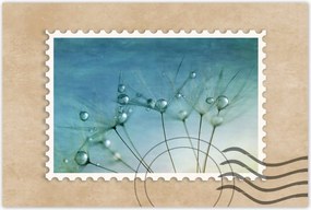 Poszterek 90x60 Pitypang Virág Virágok