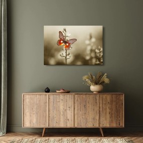 Pillangó képe (90x60 cm)