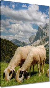 Vászonkép 80x120 Hegyek Juh legeltetés