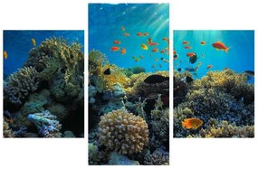 Víz alatti tengeri világ képe (90x60 cm)