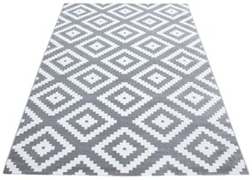 Világosszürke szőnyeg 160x230 cm Plus – Ayyildiz Carpets