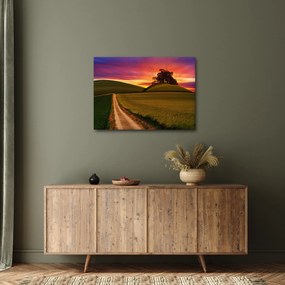 Mező és a színes ég képe (70x50 cm)