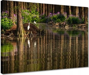 Vászonkép 40x30 Tájkép Látvány