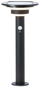 Brilliant - LED Napelemes lámpa érzékelővel GARVINA LED/3W/3,7V 45 cm IP44 fekete