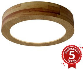 APLED - LED Mennyezeti lámpa RONDO LED/24W/230V á. 30 cm fa