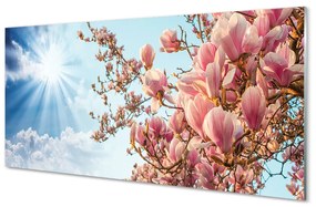 Akrilkép Magnolia ég nap 100x50 cm