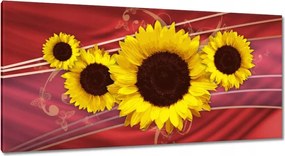 Festmények 115x55 Napfény absztrakt