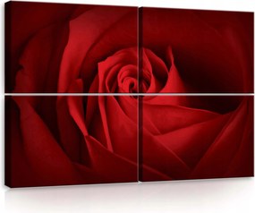 Vászonkép 120x80 Vörös rózsa virágszirmok szenvedély szerelem elegancia természet