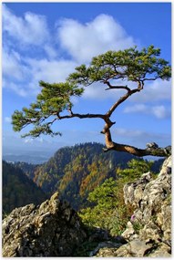 Poszterek 80x120 Tájképek Kilátások Tájképek