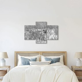 Kép - Róka, fekete, fehér (90x60 cm)