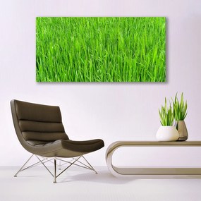 Canvas kép Nature Green Grass Turf 120x60 cm