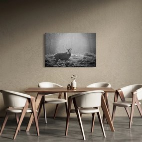 Kép - Szarvas az erdőben, fekete-fehér (90x60 cm)