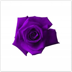 Poszterek 100x100 Nőnap Ajándék Love