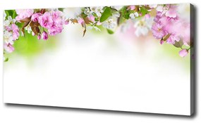 Egyedi vászonkép Tavaszi virágok oc-79458656
