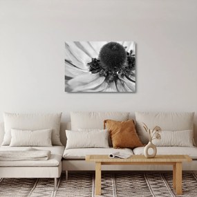 Üveg kép - Virág fekete-fehérben (70x50 cm)
