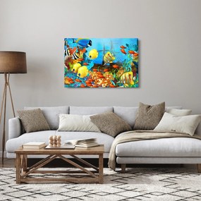 Kép - színes korallzátony (90x60 cm)