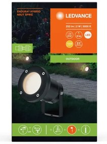 Ledvance - LED Kültéri lámpa NAUT SPIKE LED/2W/12V IP44