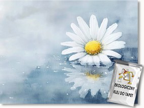Fotótapéta Flizelina Grafika Fehér Virág Margaréta Tükröződés 416x254 ragasztó
