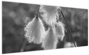 Kép - Cottongrass (120x50 cm)