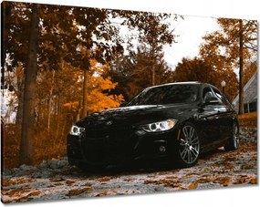 Vászonkép 100x70 Fekete Bmw Ősz