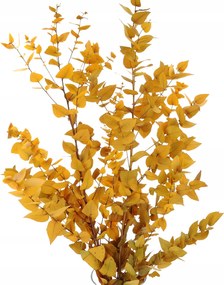 Stabilizált eukaliptusz Stuartiana sárga csokor szárított levelek váza