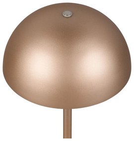 Bronzszínű LED asztali lámpa fém búrával (magasság 21 cm) Munoz – Trio