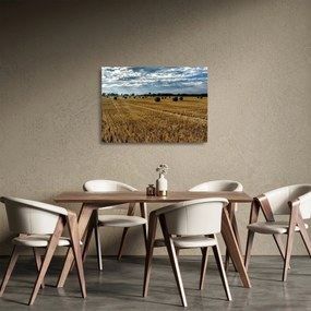 Betakarított gabona mező képe (üvegen) (70x50 cm)