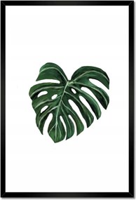 Poszterek keretben 40x60 Monstera deliciosa Levél