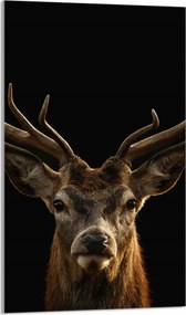 Üveg Vágódeszka 30x52 Szarvas a Konyhába