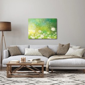 Kép - Virágozatlan pitypang (70x50 cm)