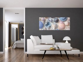 Kép - Kagylógyűjtemény (120x50 cm)
