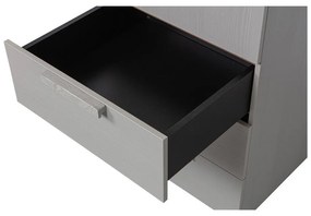 Szürke moduláris szekrény 55x210 cm Rens – WOOOD