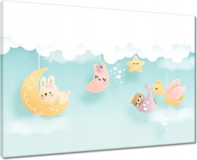 Våszonkép 70x50 Aranyos alvó ållatok