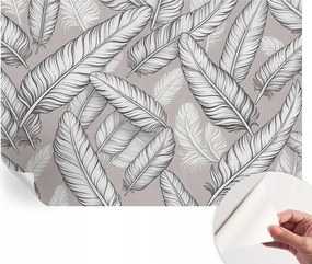 Fotótapéta Fali tapéta Hálószobába és Nappaliba Finom tollak 152x104 cm