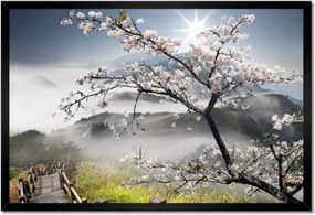 Poszterek keretben 60x40 Japán Virágzó cseresznye