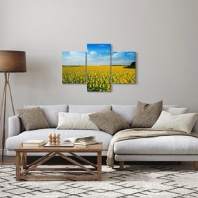 Kép - napraforgó (90x60 cm)