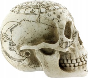 Koponya Astrological Skull Nemesis Figura Angliából Eredeti Termék