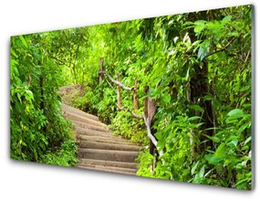 Akrilkép lépcsők Természet 140x70 cm