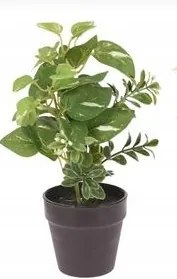 Művirág Fekete Cserépben 20CM Dekoráció Filodendron Fehér