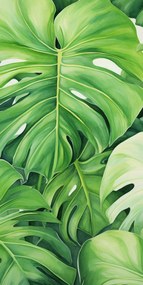 Poszter 50x100cm A levelek titkai