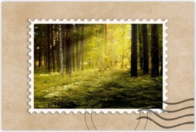 Poszterek 90x60 Napfelkelte az erdőben