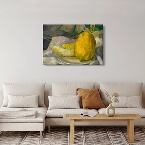 Kép - French 19th Century, Melon and Lemon, reprodukciók (90x60 cm)