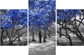 Kép - Kék fák, Central Park, New York (90x60 cm)